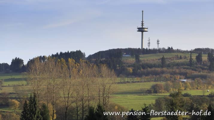 Hoherodskopf im Vogelsberg